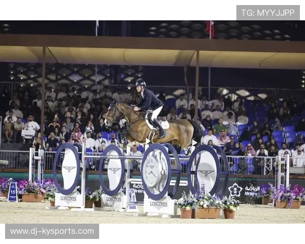 揭秘马术冠军背后的训练艰辛，马术冠军成就攻略